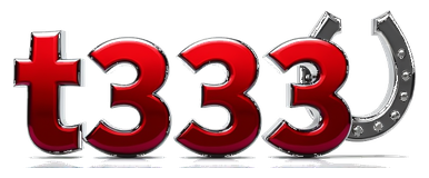 t3333